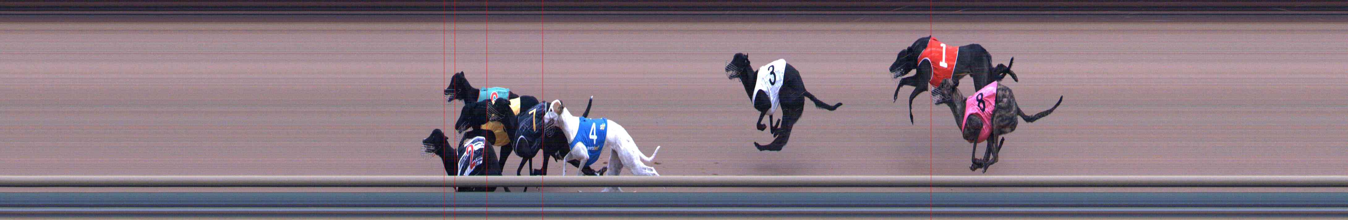 Race result finish photo